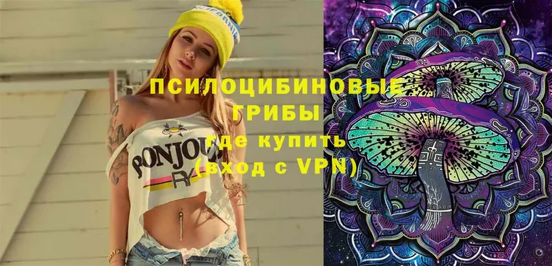 купить наркотик  Заполярный  shop состав  Псилоцибиновые грибы мухоморы 